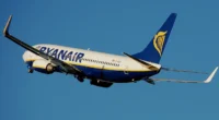 Két Ryanair-gép is madárral ütközött a budapesti repülőtéren