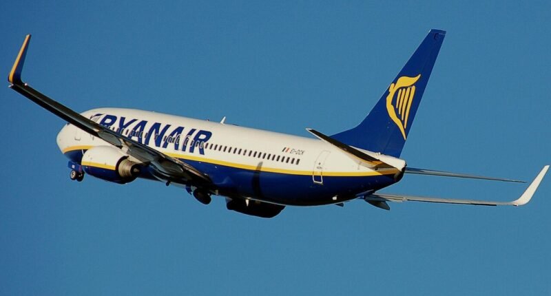 Két Ryanair-gép is madárral ütközött a budapesti repülőtéren