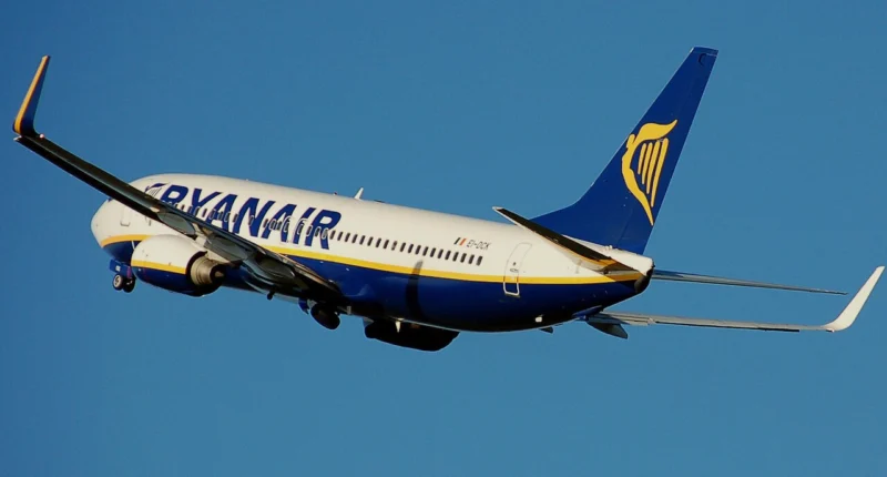 Két Ryanair-gép is madárral ütközött a budapesti repülőtéren
