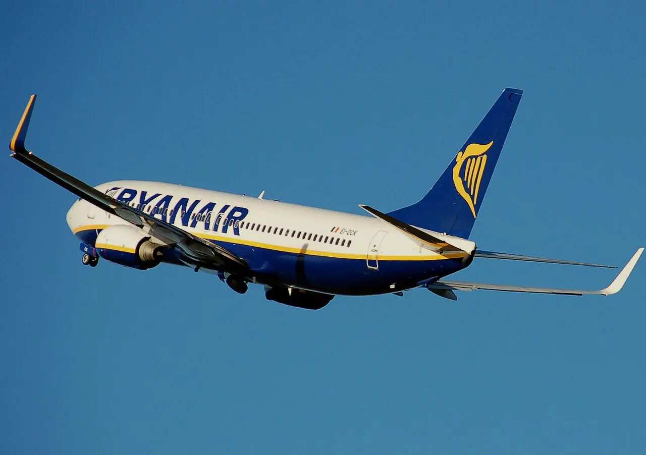 Két Ryanair-gép is madárral ütközött a budapesti repülőtéren ryanair madárütközés budapest