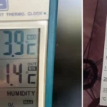 A valaha volt legforróbb nap jön, a történelem legforróbb éjszakája után Angliában: többen is döbbenetes hőmérsékleteket mértek a kertjeikben az elmúlt 24 órában