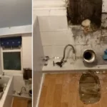 Féktelen tombolása közepette a WC-t is kitépte a falból egy landlord a bérleti díj miatt Nagy-Britanniában