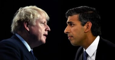 A brit miniszterelnök nyilvánosságra hozta véleményét a Boris Johnson körüli botránnyal kapcsolatban