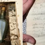 135 éves üzenetet talált egy anyuka a padlódeszkák alatt egy elrejtett whiskys üvegben