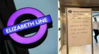 Káosz a londoni metrón az egyik vonalat teljesen lezárták egy hattyú miatt: többen a metrókocsiban kellett, hogy vizeljenek 2