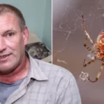 „Azt hittem meghalok” – a torkát csípte meg belülről egy pók egy férfinak Angliában