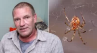 „Azt hittem meghalok” - a torkát csípte meg belülről egy pók egy férfinak Angliában 2