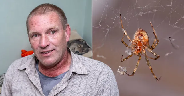 „Azt hittem meghalok” - a torkát csípte meg belülről egy pók egy férfinak Angliában 5