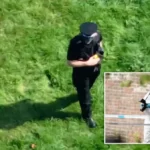 A rendőröknek kellett agyonlőniük két rottweilert Angliában, miután szétmarcangoltak egy idős férfit