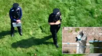 A rendőröknek kellett agyonlőniük két rottweilert Angliában, miután szétmarcangoltak egy idős férfit 2