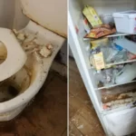 Ez maradt egy eredetileg bebútorozott albérletből Nagy-Britanniában, miután a bérlők kiköltöztek: több tízezer fontos kárt csináltak