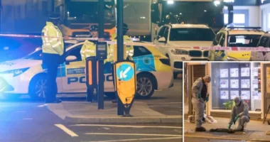 4 embert késeltek meg Londonban, egy férfit pedig leszúrtak és le is lőttek egy „célzott támadás” során Manchesterben 9