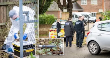 Halálra szurkálva találtak egy nőt egy összetört kocsiban, majd egy tinédzsert elütött a vonat Angliában, és a két haláleset összefügg