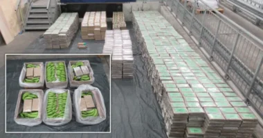 A valaha volt legnagyobb drogfogás Nagy-Britanniában – annyi kokaint találtak, hogy az ország egész lakosságának elég lenne… kétszer