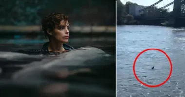 Cápát videóztak le a Temzében Londonban