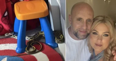 2 méteres kígyót talált a kislánya gyerekszobájában egy anyuka Angliában