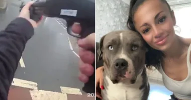 Videón, ahogy a rendőr lelövi az XL Bully kutyát a nyílt utcán Angliában - kiderült, hogy nem is bántott senkit