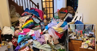 „Bérlő egyenesen a pokolból” – patkányok, szeméthegyek és 40 ezer fontos tartozás maradt egy egyedülálló anyára Angliában