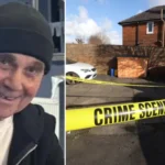 Súlyos kutyatámadás: „élve kezdte el felfalni” a nyugdíjast egy XL bully Angliában, 10 lövést kellett leadni rá a rendőröknek