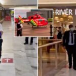 Londoni bevásárlóközpont kellős közepén késeltek halálra egy fiatalt