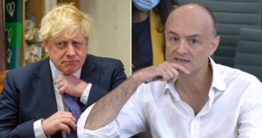 Durva dolgok derültek ki arról, hogy mik zajlottak a színfalak mögött a járvány alatt Nagy-Britanniában