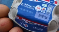 Mostantól Nagy-Britanniában a szupermarketekben egyáltalán nem kapható „free-range egg” 2