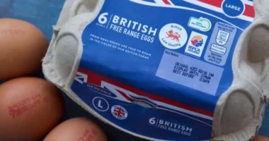 Mostantól Nagy-Britanniában a szupermarketekben egyáltalán nem kapható „free-range egg”
