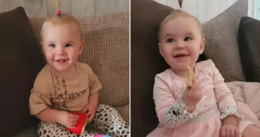 Másfél éves kislányt tépett szét a család új kutyája Angliában