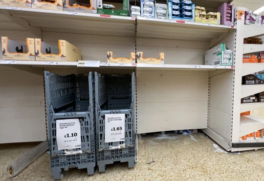 Egyre több szupermarketben már korlátozzák a tojásvásárlást Angliában, sőt van, ahol már teljesen üresek a polcok 4
