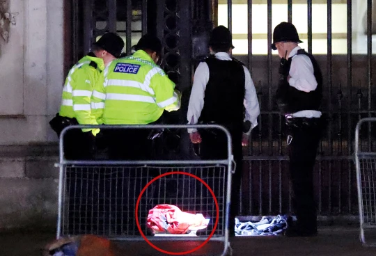 Robbanás volt hallható a Buckingham Palace előtt, egy férfit pedig letartóztattak, akinél egy gyanús táska volt és lőszereket dobált át a palota területére 5