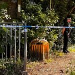 Emberi méhlepényt talált egy 15 éves fiú egy parkban Angliában