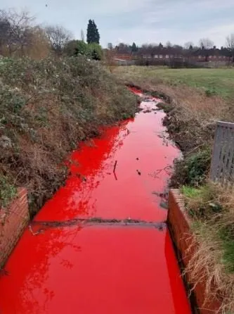 Vérvörösre változott egy patak színe Angliában, és senki nem tudja mi történt 5