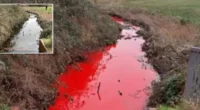 Vérvörösre változott egy patak színe Angliában, és senki nem tudja mi történt 2