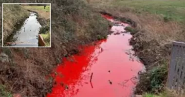 Vérvörösre változott egy patak színe Angliában, és senki nem tudja mi történt