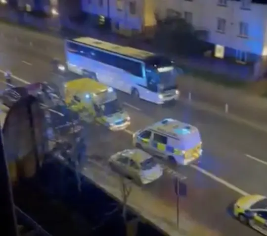 A rendőröknek kellett agyonlőnie egy XL Bully kutyát a nyílt utcán Londonban, miután egymás után 4 embert is összemarcangolt 3