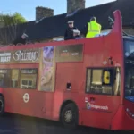 Teljesen leszakadt egy londoni emeletes busz teteje, miután egy fának ütközött