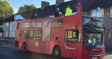 Teljesen leszakadt egy londoni emeletes busz teteje, miután egy fának ütközött