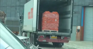 Az Egyesült Királyság legnagyobb drogcsempész bandája rács mögé kerül: 7 milliárd fontnyi drogot rejtettek rothadó hagymák közé