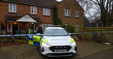 Újabb súlyos kutyatámadás Angliában - egy alig 8 hónapos csecsemő életveszélyesen megsérült