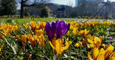 Végre érkezik a jó idő Nagy-Britanniában: az év eddigi legmelegebb napja jön, melegebb lesz, mint Madridban