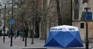 Újszülött holttestére bukkantak egy utcán hagyott táskában Londonban