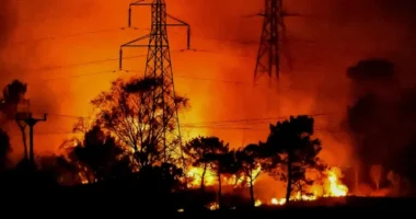 Hatalmas erdőtűz egy természetvédelmi területen Angliában, Dorset területén 17