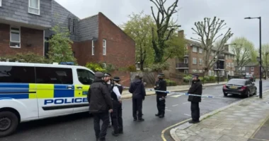 „Vérfagyasztó sikolyokat hallottam” - újabb végzetes késelés Londonban