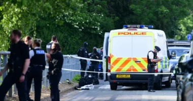 Fegyveres rendőrök lőttek le egy férfit miután 2 embert megkéselt Angliában, Huytonban