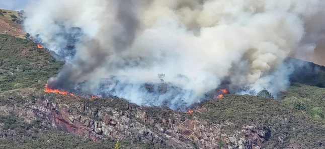 Hatalmas tűz ütött ki Edinburghban az ikonikus Arthur’s Seat-nél – a domb lángokban, valószínűleg emberi tevékenység okozta Hatalmas tűz ütött ki Edinburghban az ikonikus Arthur’s Seat-nél – a domb lángokban, valószínűleg emberi tevékenység okozta