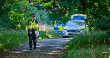 Megégett emberi maradványokra bukkantak kutyasétáltatás közben Angliában egy erdőben