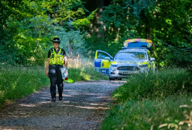 Megégett emberi maradványokra bukkantak kutyasétáltatás közben Angliában egy erdőben