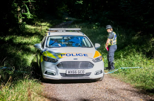 Megégett emberi maradványokra bukkantak kutyasétáltatás közben Angliában egy erdőben