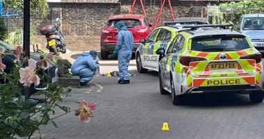 "Segítség, meglőttek" - 2 embert lelőttek a nyílt utcán egy játszótér mellett Londonban