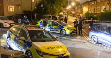 A rendőrök lőttek le egy férfit Londonban, aki öngyilkossággal fenyegetőzött